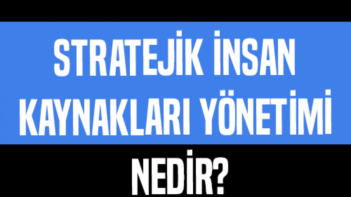 stratejik insan kaynaklari yonetimi nedir albert solino danismanlik